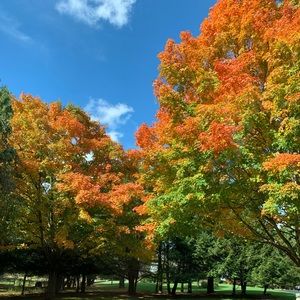 Meet your Posher, Jen